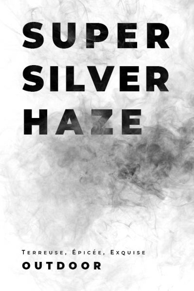 SUPER SILVER HAZE- CBD - BIO - AFFICHE